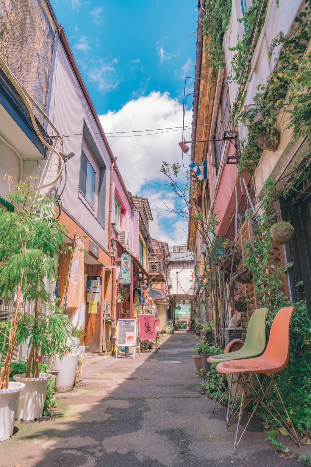 植物と色彩のある路地